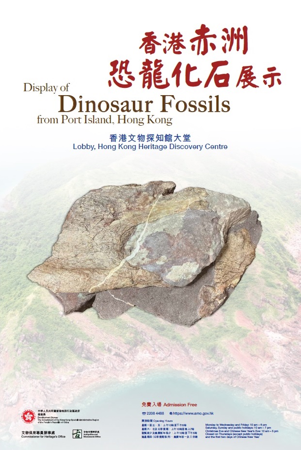 Display of Dinosaur Fossils from Port Island, Hong Kong