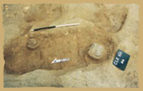 Middle Neolithic Burial in Kwo Lo Wan