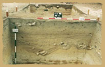 Stratigraphy of excavation squares in Fu Tei Wan